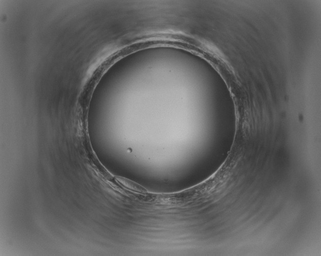 X0000069391360200605121200