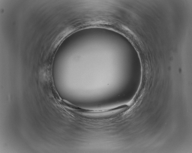 X0000069391361200605121200