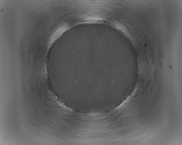 X0000069391362200605121200