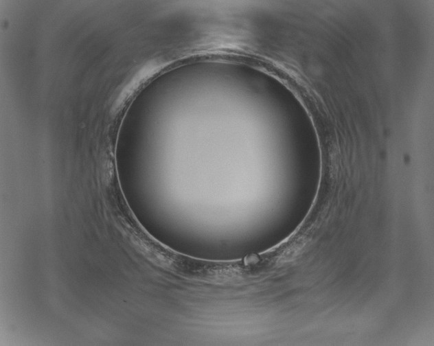 X0000069391363200605121200