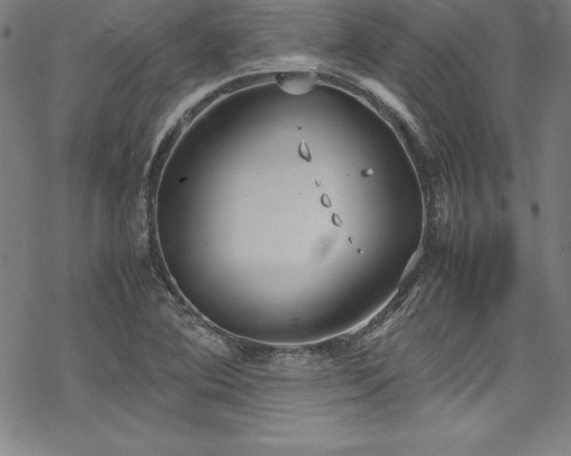 X0000069391364200605121200