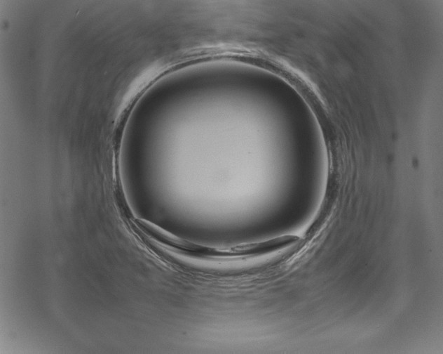 X0000069391365200605121200