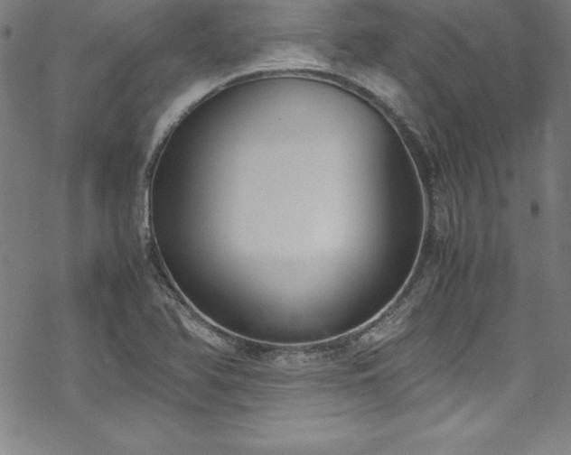 X0000069391366200605121200