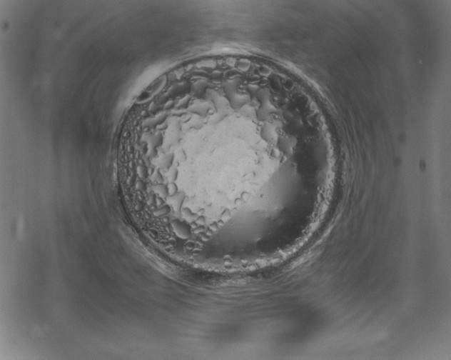 X0000069391367200605121200