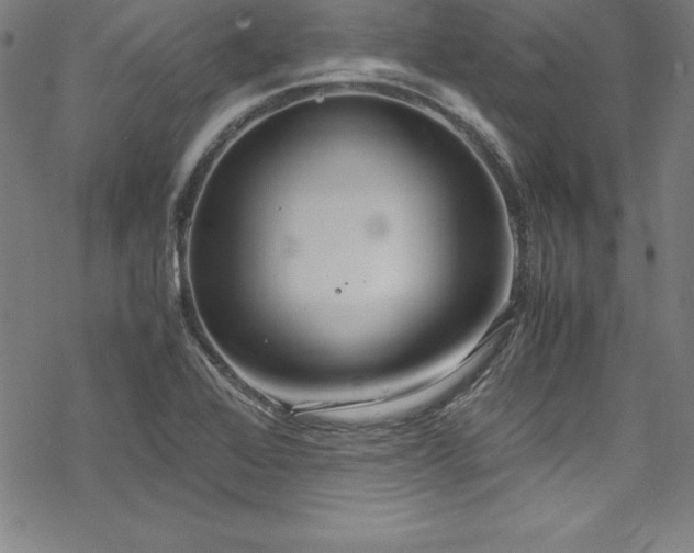 X0000069391368200605121200