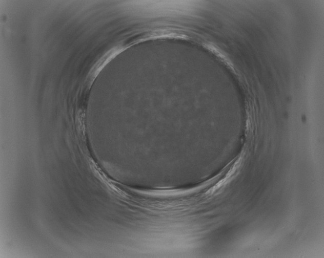 X0000069391369200605121200