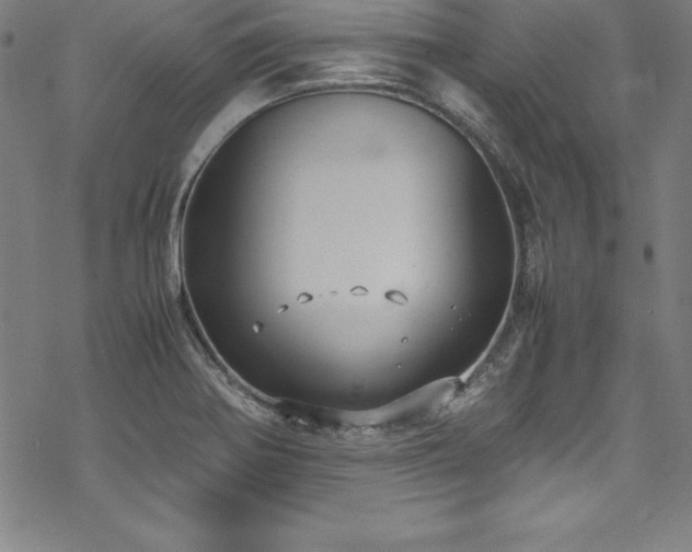 X0000069391370200605121200