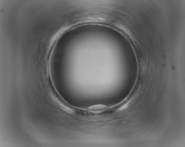 X0000069391371200605121200