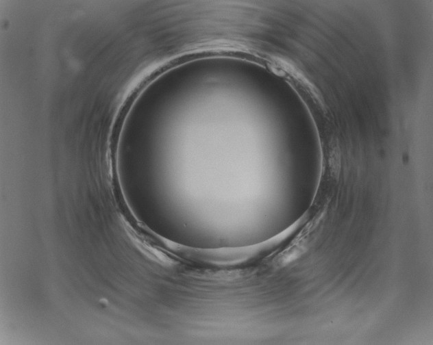 X0000069391372200605121200