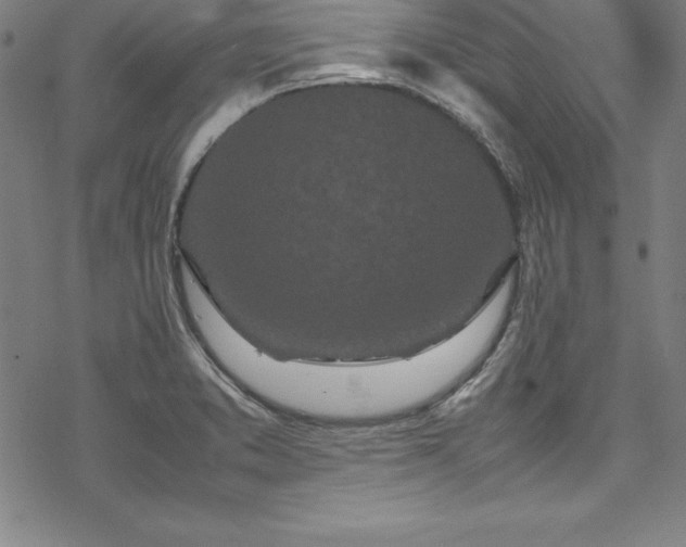 X0000069391373200605121200