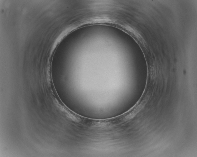 X0000069391374200605121200