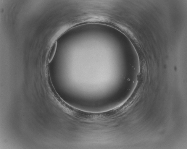 X0000069391375200605121200