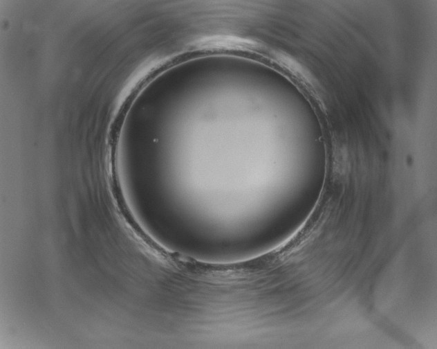 X0000069391376200605121200