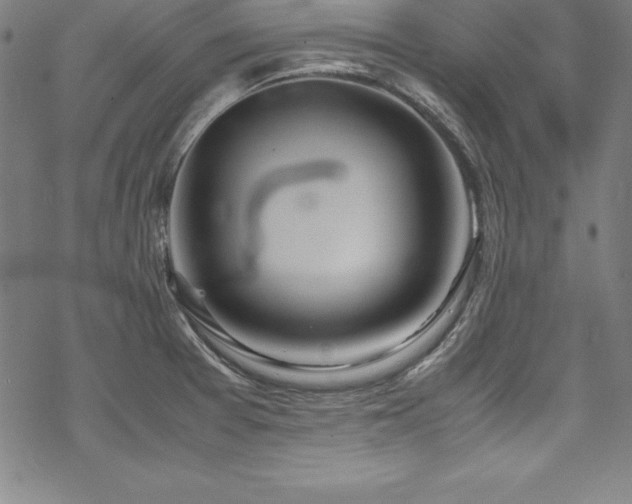 X0000069391377200605121200