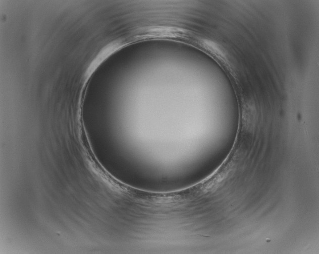 X0000069391378200605121200