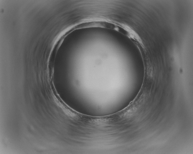 X0000069391380200605121200