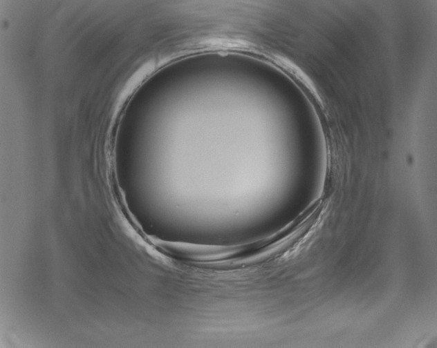 X0000069391381200605121200