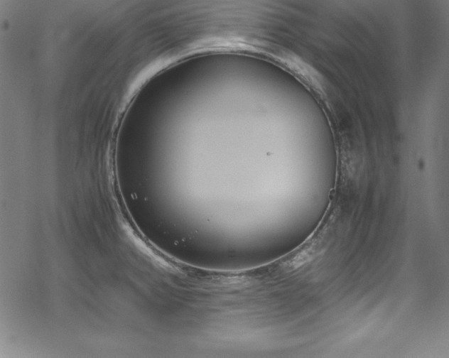 X0000069391382200605121200