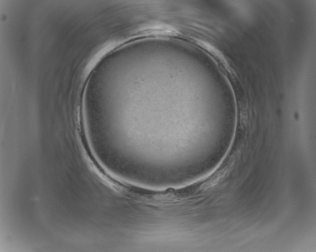 X0000069391383200605121200