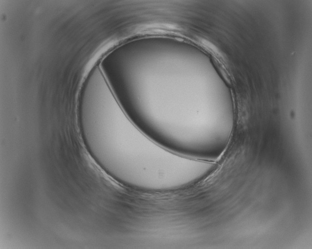 X0000069391384200605121200