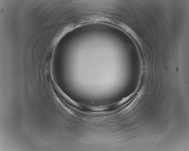 X0000069391385200605121200