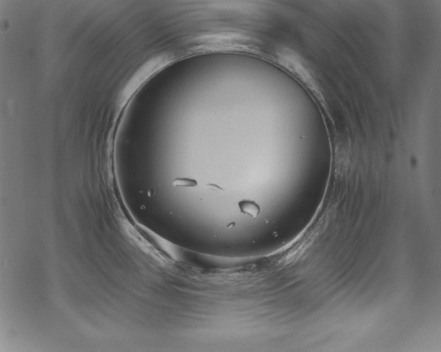 X0000069391386200605121200