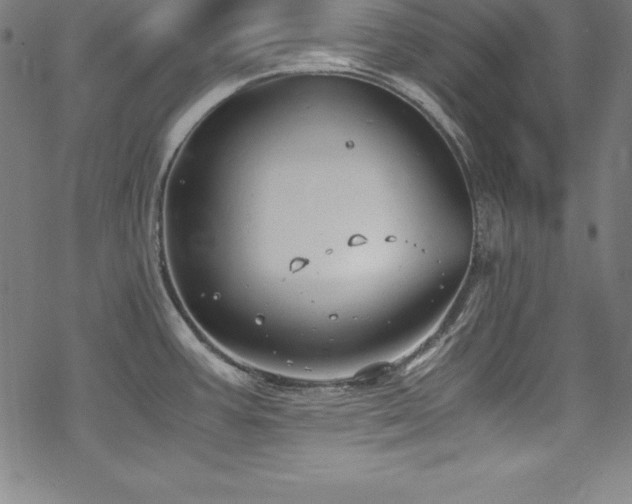 X0000069391387200605121200