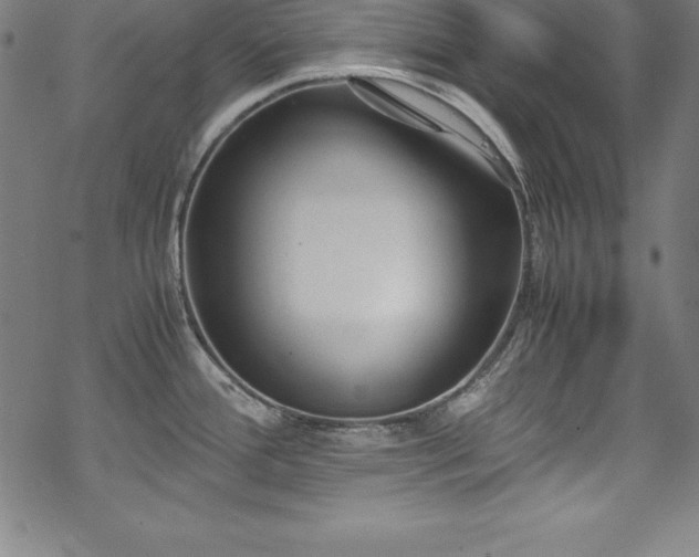 X0000069391388200605121200