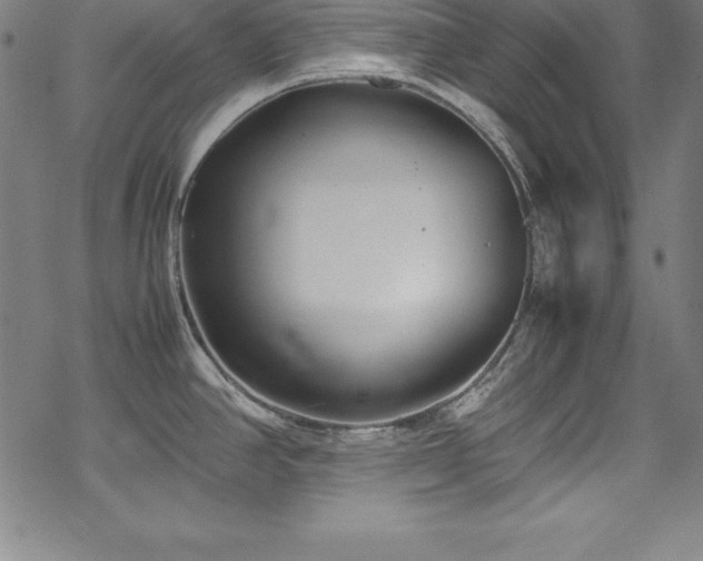 X0000069391390200605121200