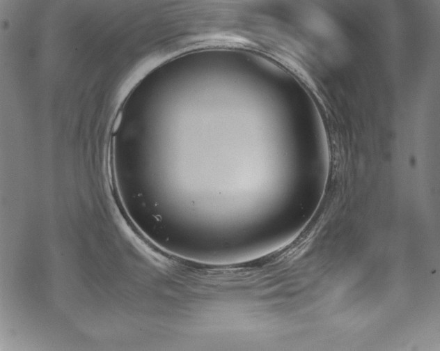 X0000069391391200605121200