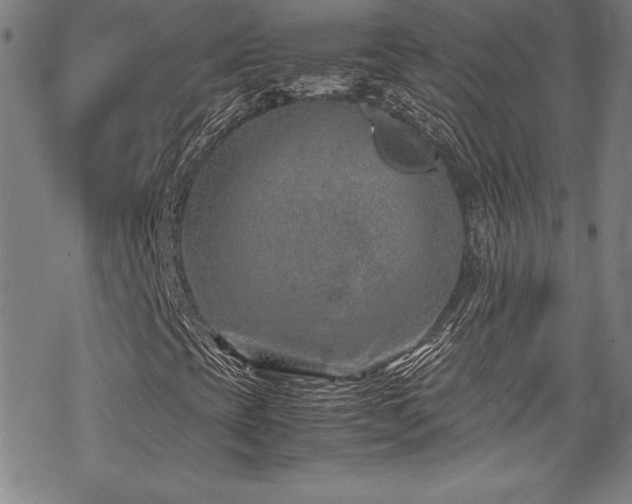 X0000069391393200605121159