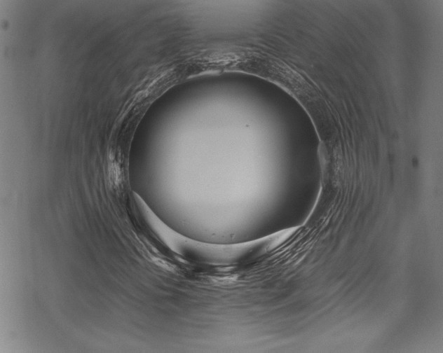 X0000069391394200605121159