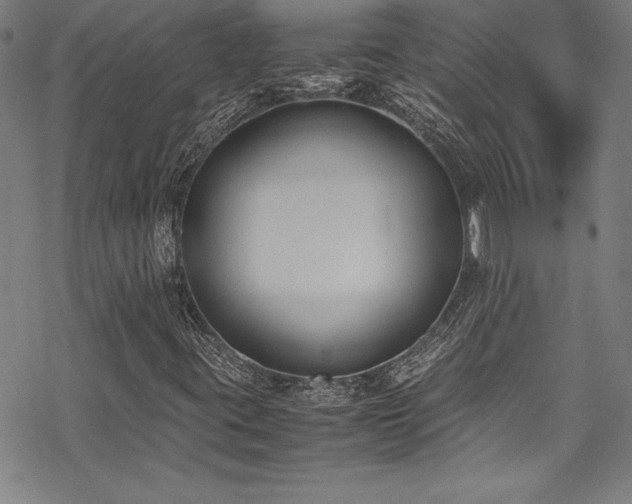 X0000069391395200605121159