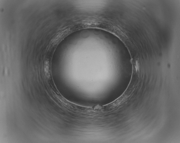 X0000069391396200605121159