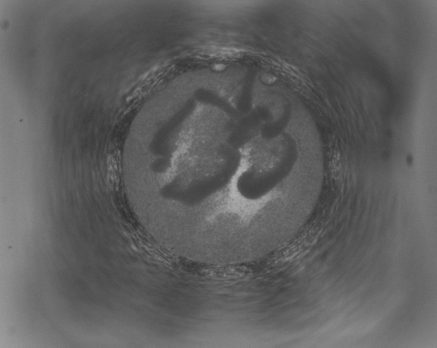 X0000069391397200605121159