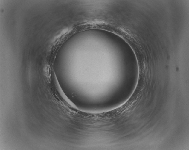 X0000069391398200605121159