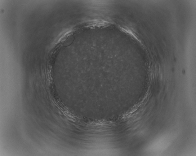 X0000069391399200605121159