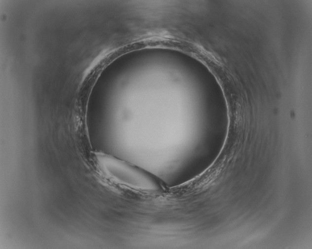 X0000069391400200605121159