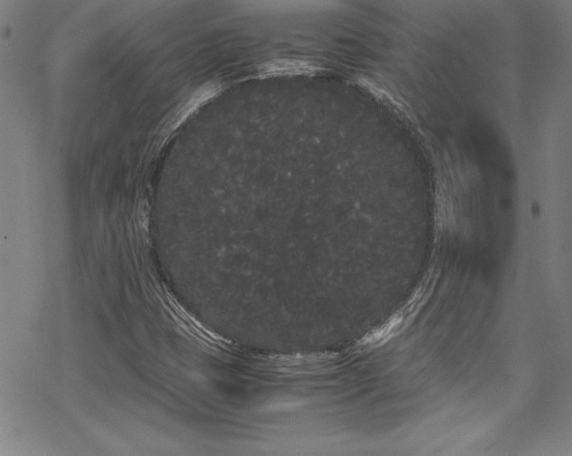 X0000069391401200605121159