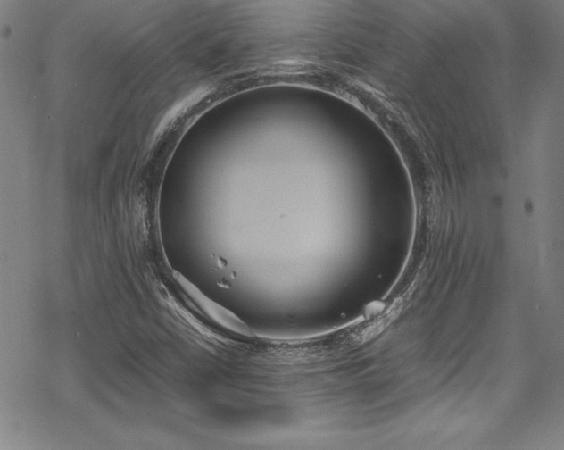 X0000069391402200605121159