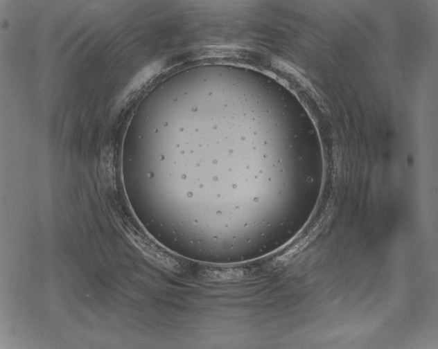 X0000069391403200605121159