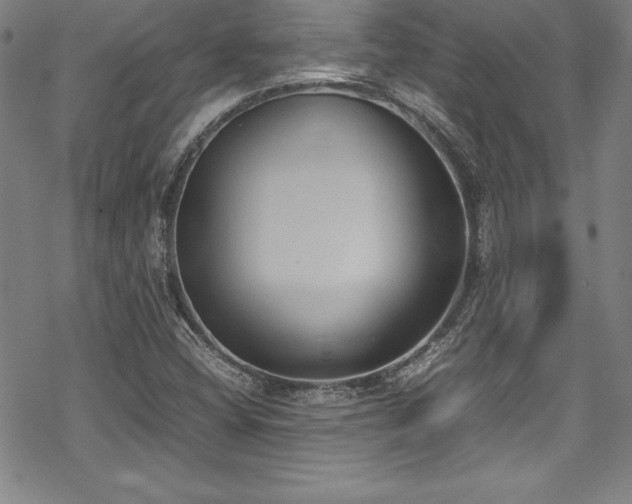 X0000069391404200605121159