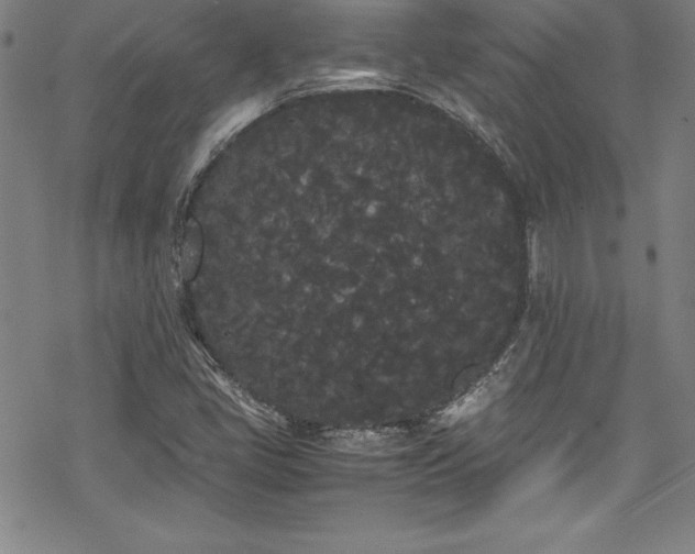 X0000069391405200605121159