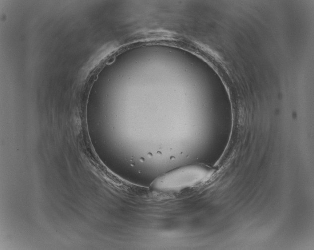 X0000069391407200605121159