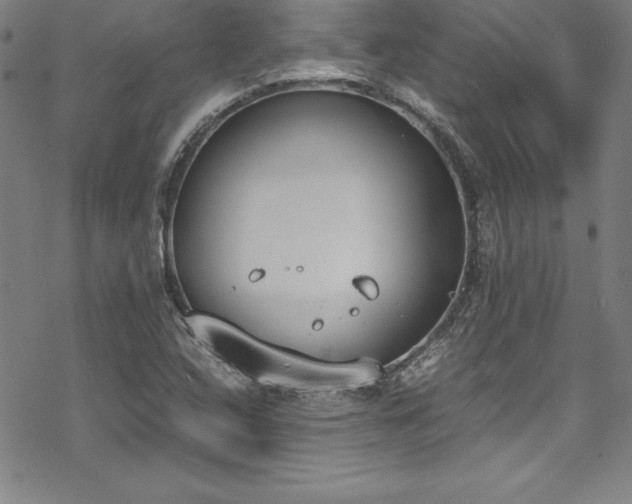 X0000069391408200605121159