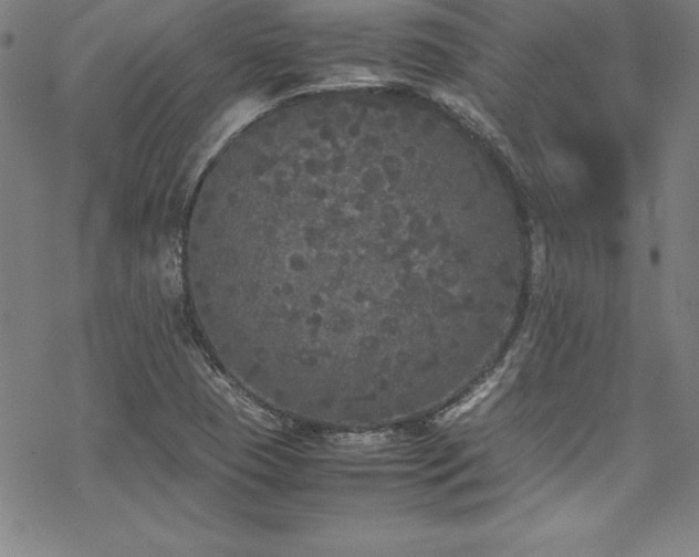 X0000069391409200605121159