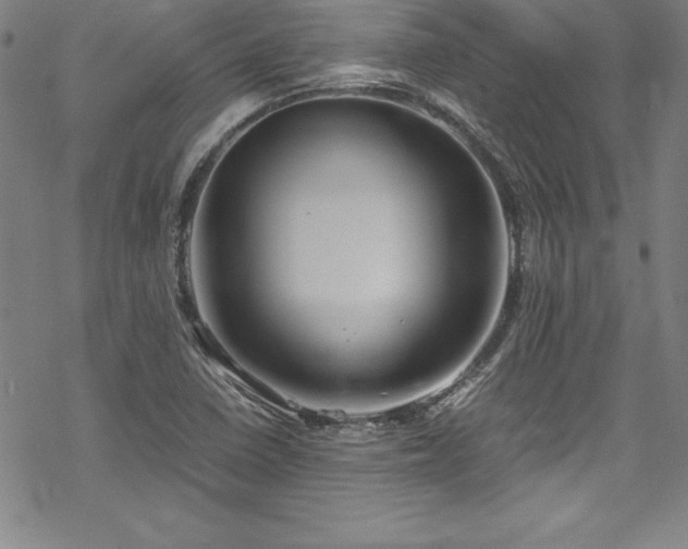 X0000069391410200605121159