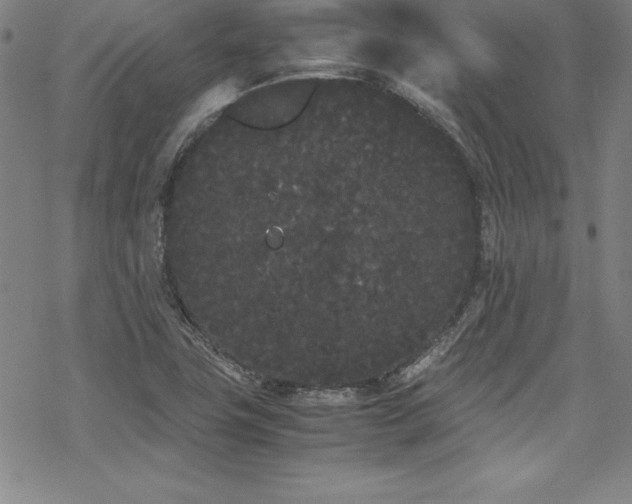 X0000069391411200605121159