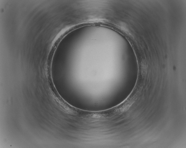 X0000069391412200605121159