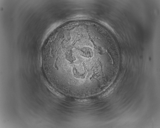 X0000069391413200605121159